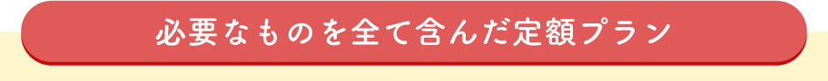 必要なものを全て含んだ定額プラン。